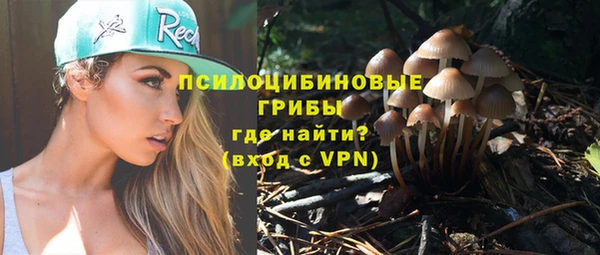 Альфа ПВП Балахна
