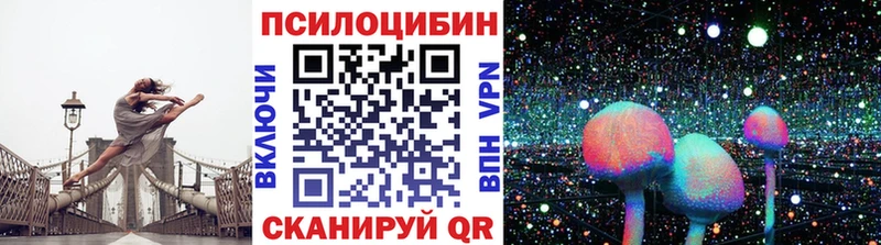 Галлюциногенные грибы Psilocybe  ОМГ ОМГ ONION  Лебедянь 